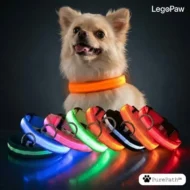 Collare LED LegoPaw™ - immagine 2