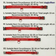 Collare LED LegoPaw™ - immagine 3