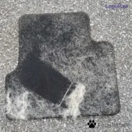 Set DeepClean LegoPaw™ - immagine 3