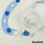 Speedy Tail 2.0 — Gioco Interattivo LegoPaw™ - immagine 5